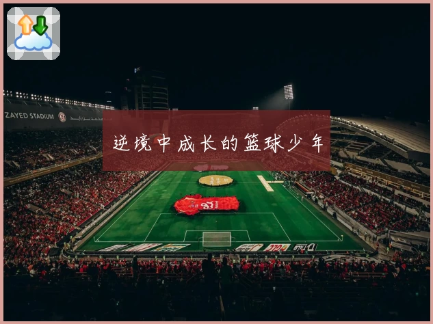 逆境中成长的篮球少年