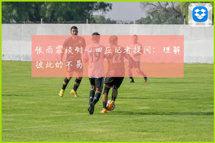 张雨霏谈耐心回应记者提问:理解彼此的不易