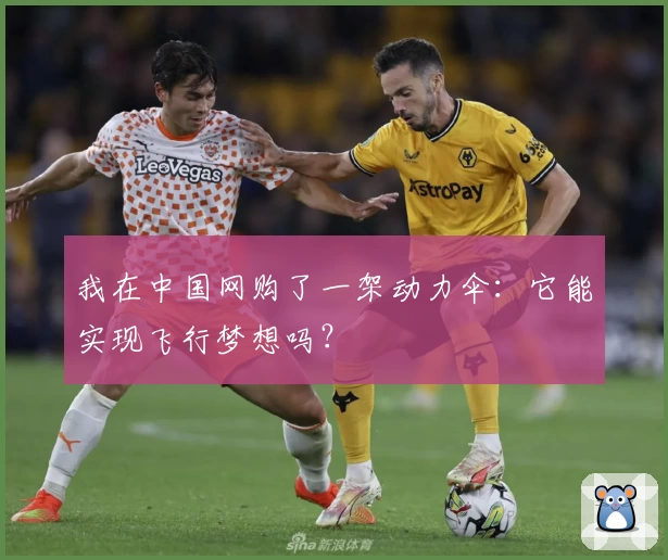 我在中国网购了一架动力伞：它能实现飞行梦想吗？