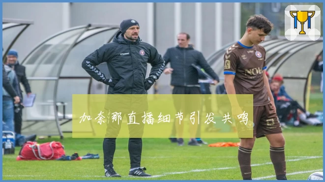 加奈那直播细节引发共鸣