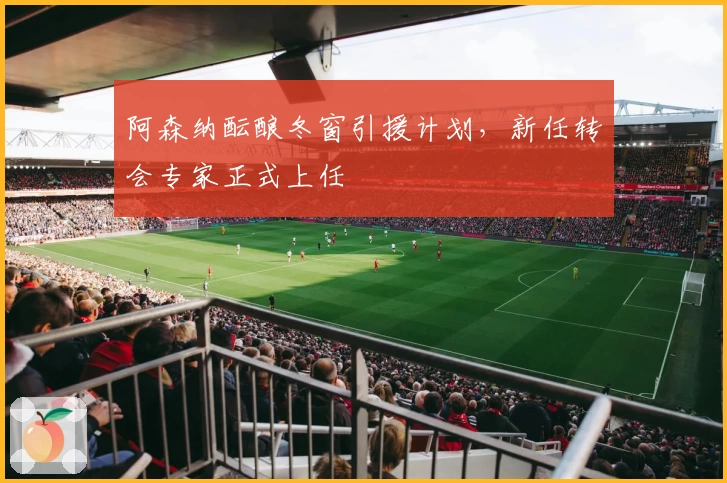 阿森纳酝酿冬窗引援计划，新任转会专家正式上任