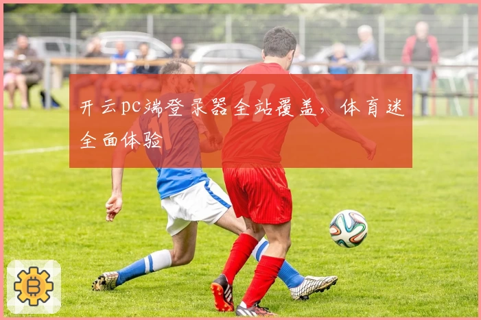 开云pc端登录器全站覆盖，体育迷全面体验